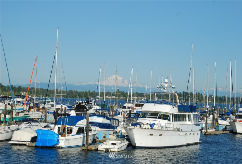 9540 Semiahmoo Pkwy M10 & M11, Blaine, Washington 98230, ,Residential,For Sale,Semiahmoo Marina,Semiahmoo Pkwy M10 & M11,NWM1838792