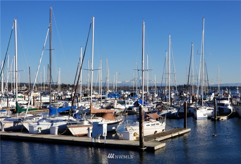 9540 Semiahmoo Pkwy M10 & M11, Blaine, Washington 98230, ,Residential,For Sale,Semiahmoo Marina,Semiahmoo Pkwy M10 & M11,NWM1838792
