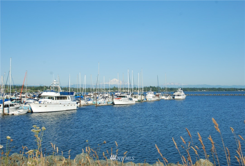 9540 Semiahmoo Pkwy M10 & M11, Blaine, Washington 98230, ,Residential,For Sale,Semiahmoo Marina,Semiahmoo Pkwy M10 & M11,NWM1838792