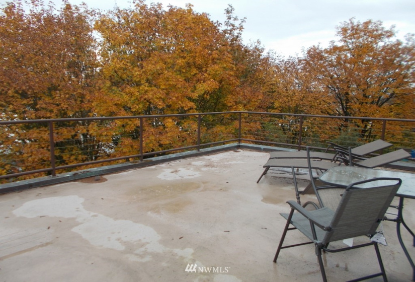 5336 86th, Seattle, Washington 98115, 4 Bedrooms Bedrooms, ,3 BathroomsBathrooms,Residential Lease,For Rent,86th,NWM1838935