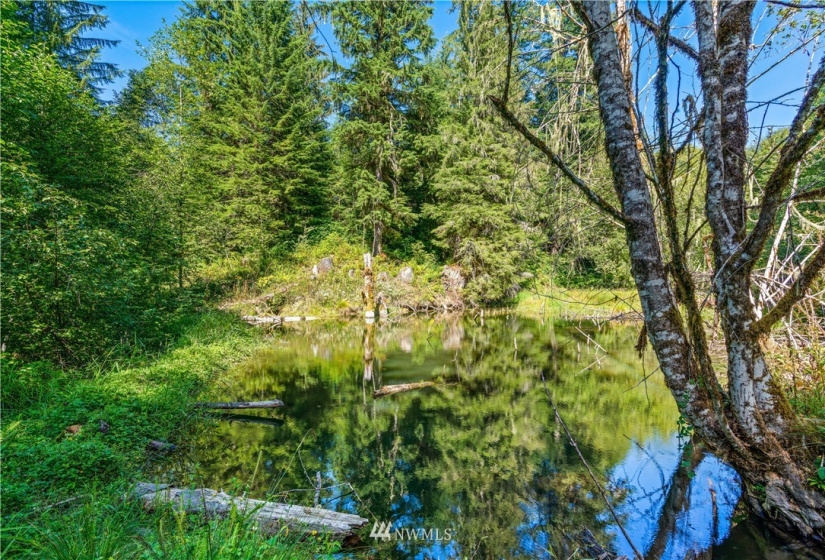 0 State Route 508, Onalaska, Washington 98533, ,Land,For Sale,State Route 508,NWM1839130