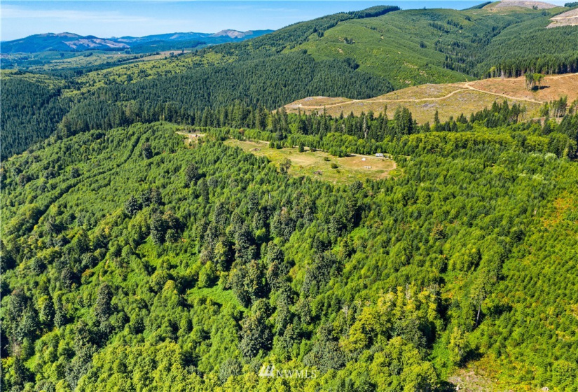0 State Route 508, Onalaska, Washington 98533, ,Land,For Sale,State Route 508,NWM1839130