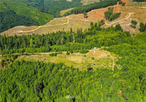 0 State Route 508, Onalaska, Washington 98533, ,Land,For Sale,State Route 508,NWM1839130