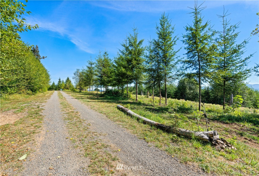 0 State Route 508, Onalaska, Washington 98533, ,Land,For Sale,State Route 508,NWM1839130