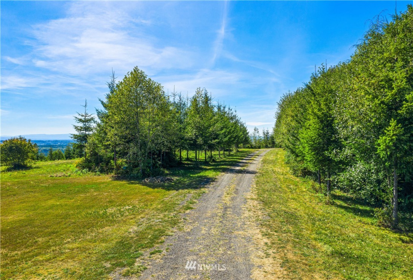 0 State Route 508, Onalaska, Washington 98533, ,Land,For Sale,State Route 508,NWM1839130