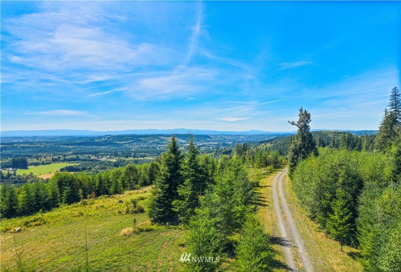 0 State Route 508, Onalaska, Washington 98533, ,Land,For Sale,State Route 508,NWM1839130