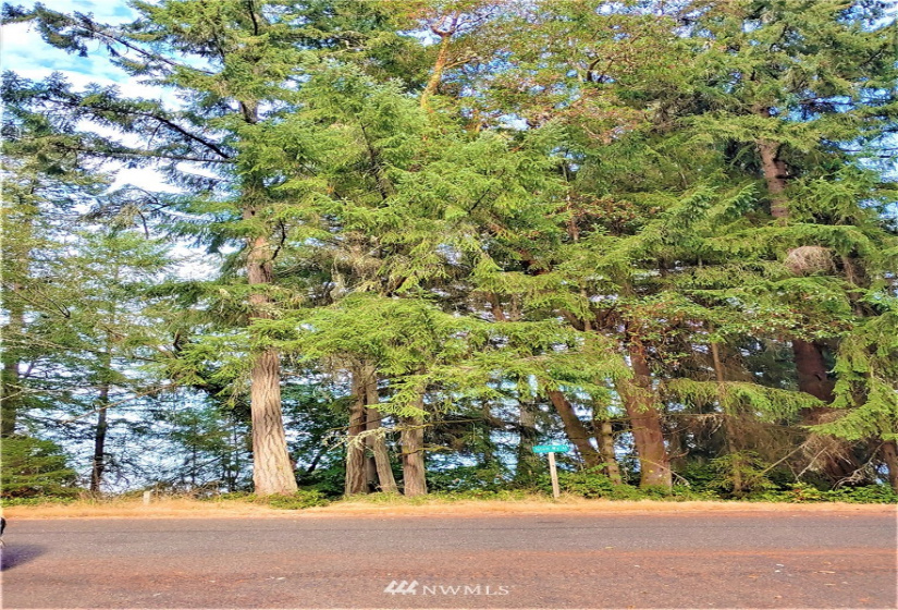 10121 Totem, Anderson Island, Washington 98303, ,Land,For Sale,Lake Josephine Riviera,Totem,NWM1839201