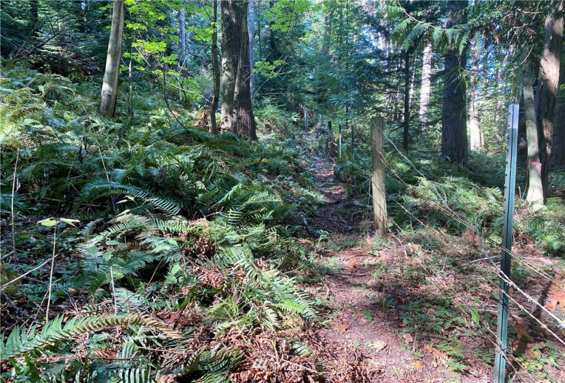 0 41st, Anacortes, Washington 98221, ,Land,For Sale,41st,NWM1838654