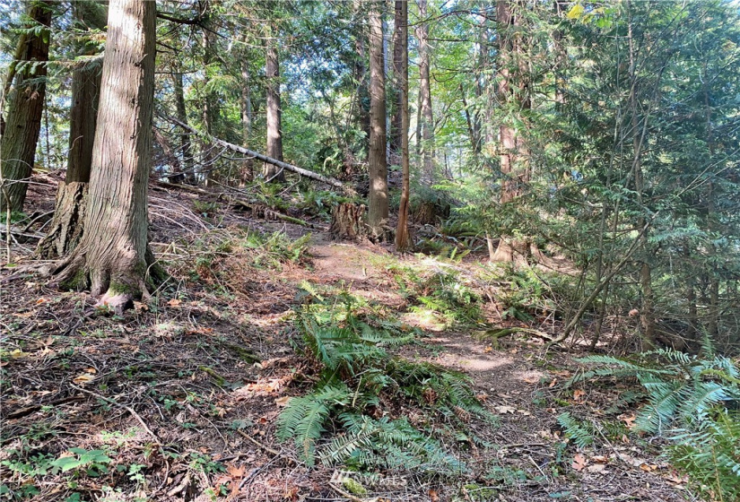 0 41st, Anacortes, Washington 98221, ,Land,For Sale,41st,NWM1838654