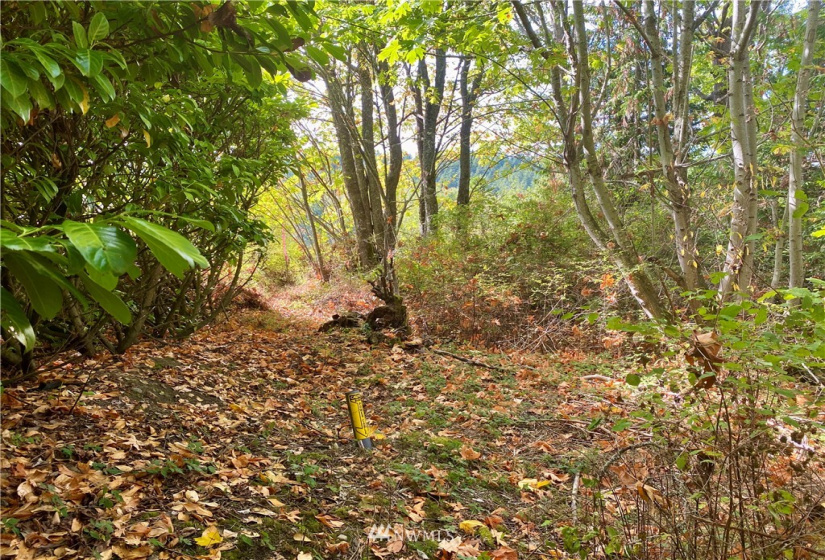 0 41st, Anacortes, Washington 98221, ,Land,For Sale,41st,NWM1838654
