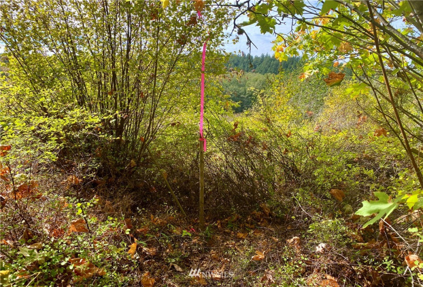 0 41st, Anacortes, Washington 98221, ,Land,For Sale,41st,NWM1838654