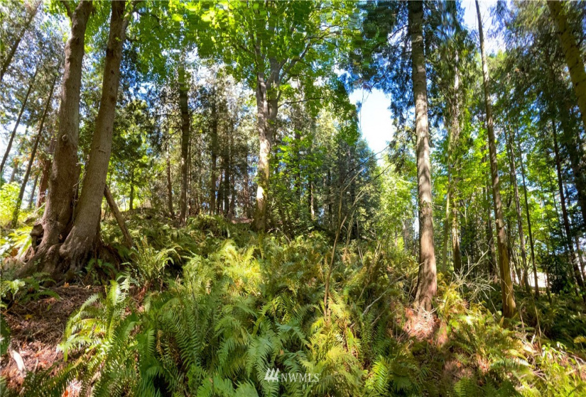 0 41st, Anacortes, Washington 98221, ,Land,For Sale,41st,NWM1838654