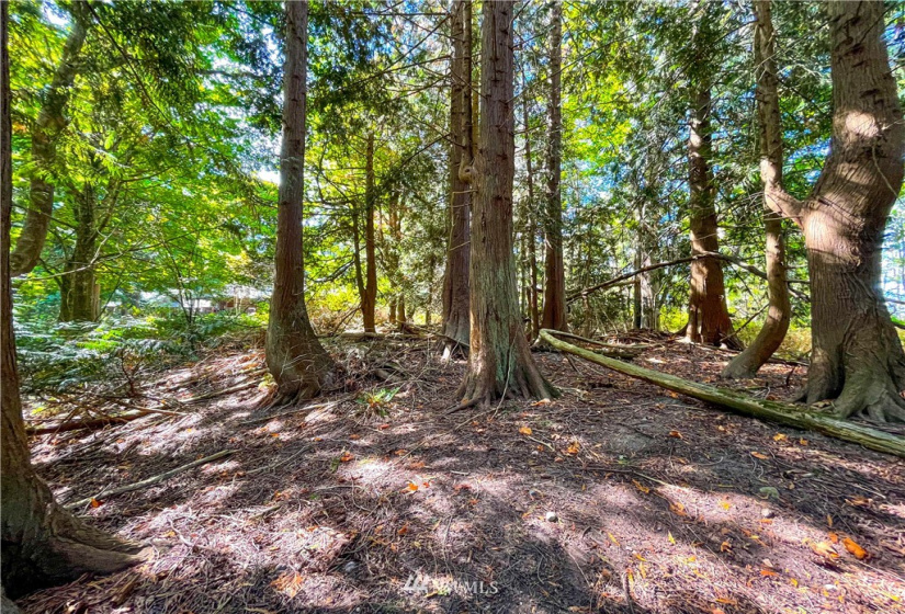 0 41st, Anacortes, Washington 98221, ,Land,For Sale,41st,NWM1838654