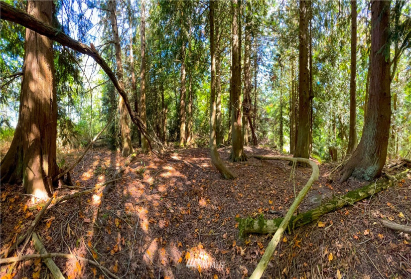 0 41st, Anacortes, Washington 98221, ,Land,For Sale,41st,NWM1838654