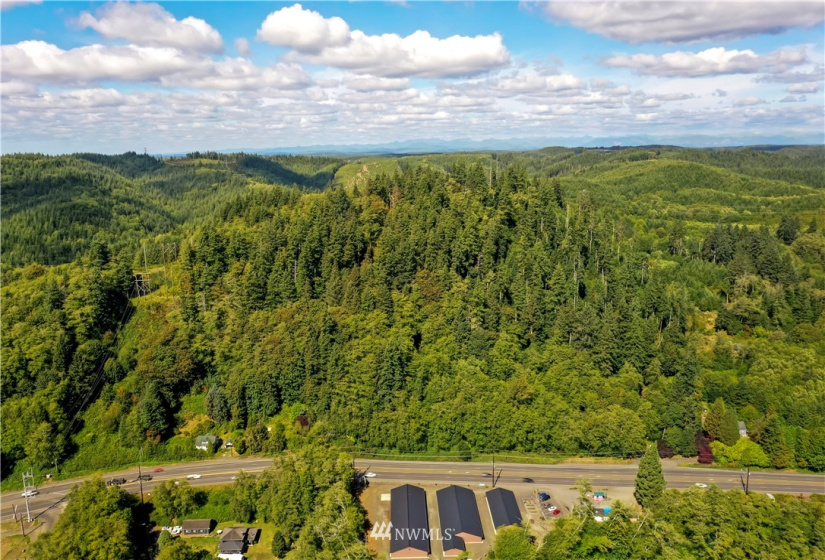 0 Copland, Aberdeen, Washington 98520, ,Land,For Sale,Copland,NWM1839161
