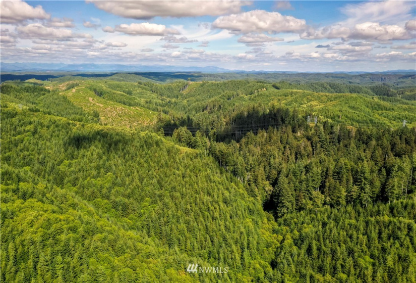 0 Copland, Aberdeen, Washington 98520, ,Land,For Sale,Copland,NWM1839161