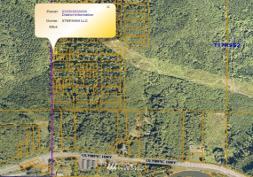 0 Copland, Aberdeen, Washington 98520, ,Land,For Sale,Copland,NWM1839161