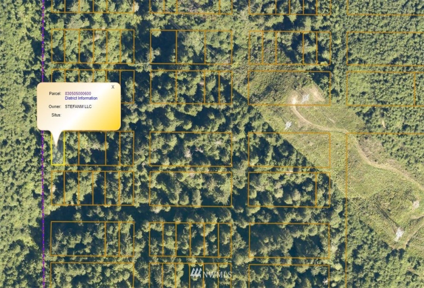 0 Copland, Aberdeen, Washington 98520, ,Land,For Sale,Copland,NWM1839161