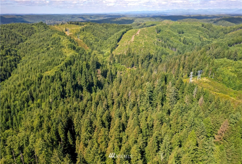 0 Copland, Aberdeen, Washington 98520, ,Land,For Sale,Copland,NWM1839161