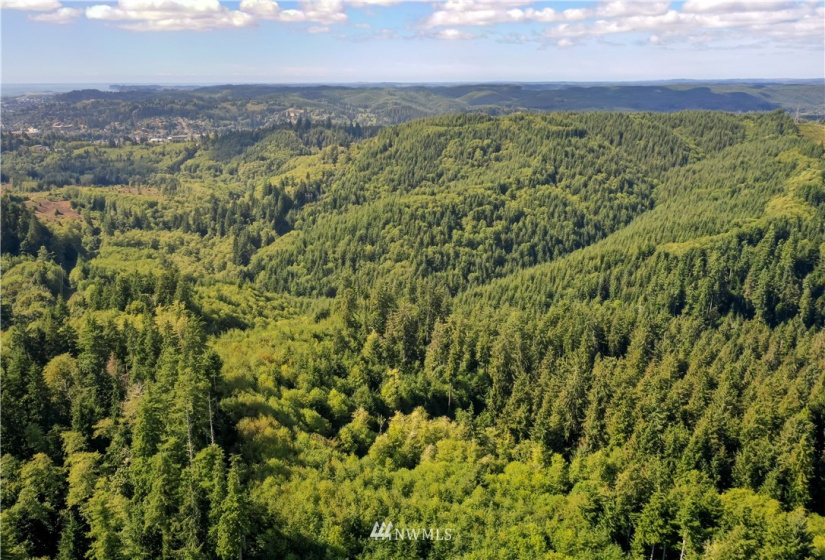 0 Copland, Aberdeen, Washington 98520, ,Land,For Sale,Copland,NWM1839161