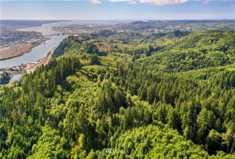 0 Copland, Aberdeen, Washington 98520, ,Land,For Sale,Copland,NWM1839161
