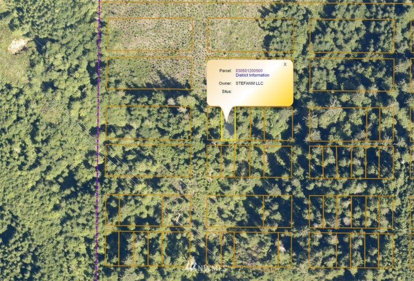 0 Copland, Aberdeen, Washington 98520, ,Land,For Sale,Copland,NWM1839155