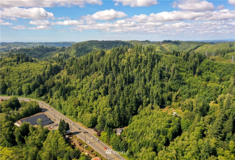 0 Copland, Aberdeen, Washington 98520, ,Land,For Sale,Copland,NWM1839155
