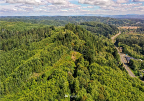 0 Copland, Aberdeen, Washington 98520, ,Land,For Sale,Copland,NWM1839159