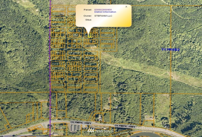 0 Copland, Aberdeen, Washington 98520, ,Land,For Sale,Copland,NWM1839159