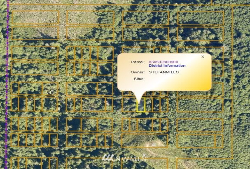 0 Copland, Aberdeen, Washington 98520, ,Land,For Sale,Copland,NWM1839159