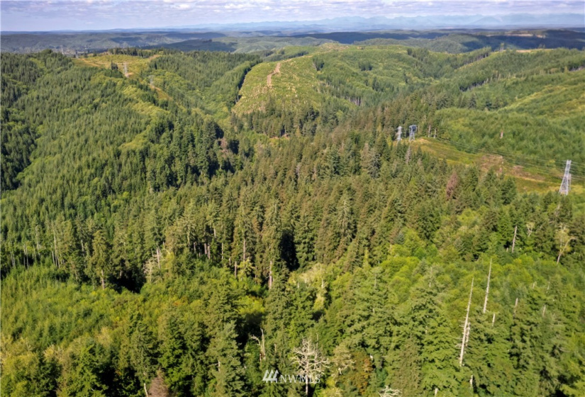 0 Copland, Aberdeen, Washington 98520, ,Land,For Sale,Copland,NWM1839159