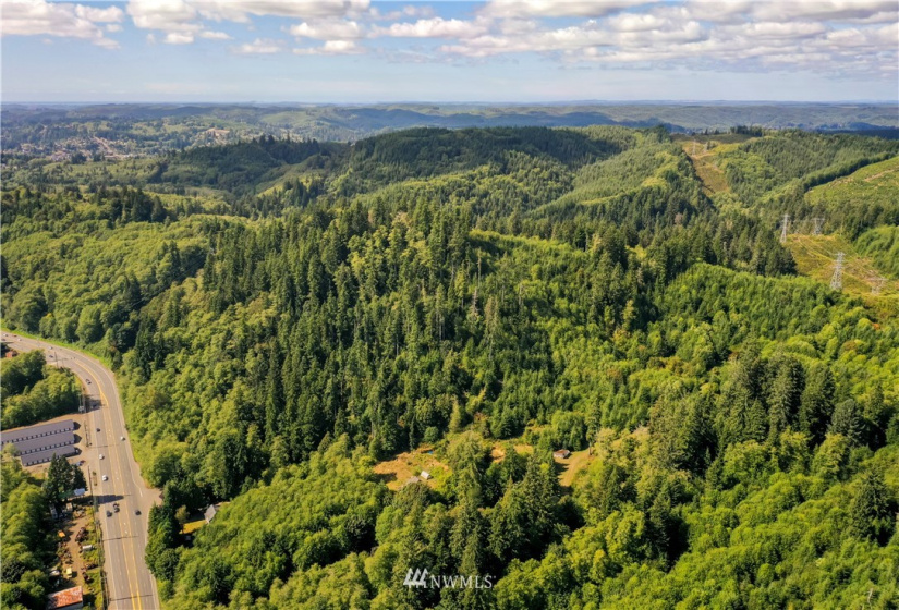 0 Copland, Aberdeen, Washington 98520, ,Land,For Sale,Copland,NWM1839159