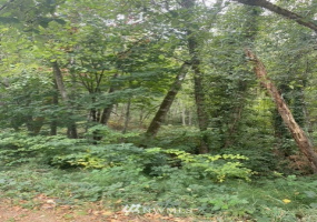 0 Wheeler, Olympia, Washington 98501, ,Land,For Sale,Wheelers,Wheeler,NWM1839651