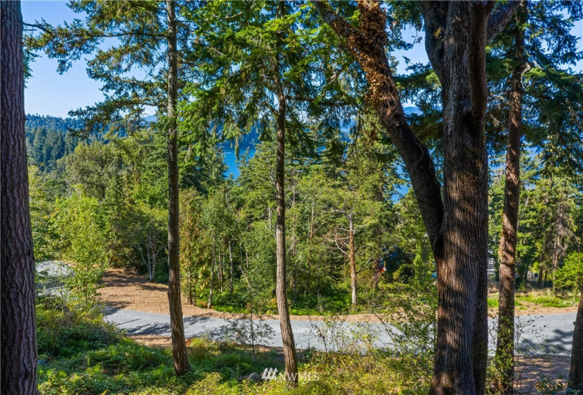 836 Chuckanut, Bellingham, Washington 98229, ,Land,For Sale,Chuckanut,NWM1839113