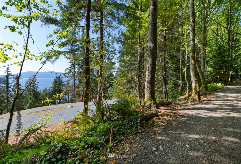 836 Chuckanut, Bellingham, Washington 98229, ,Land,For Sale,Chuckanut,NWM1839113
