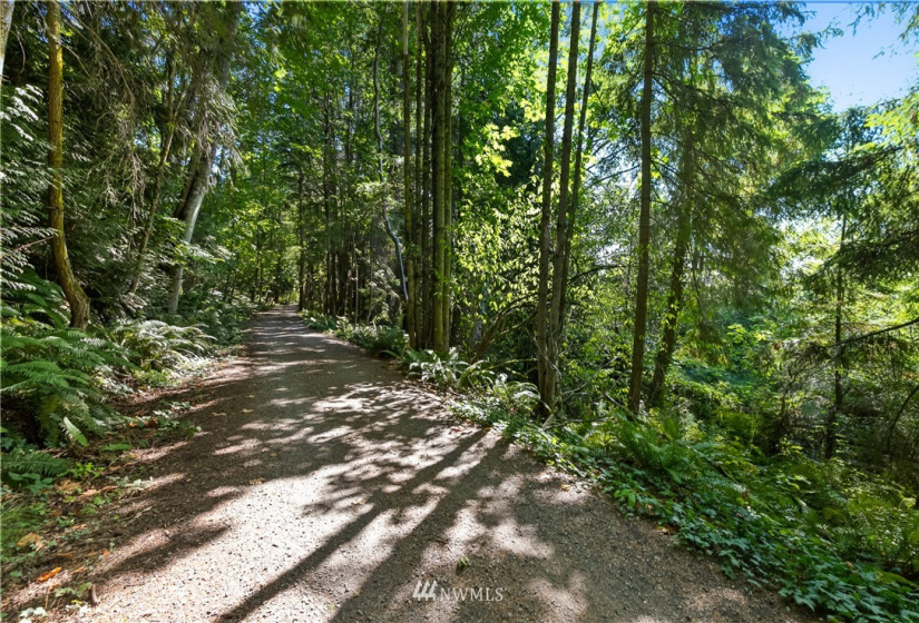 836 Chuckanut, Bellingham, Washington 98229, ,Land,For Sale,Chuckanut,NWM1839113