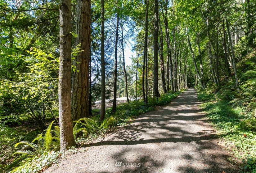 836 Chuckanut, Bellingham, Washington 98229, ,Land,For Sale,Chuckanut,NWM1839113