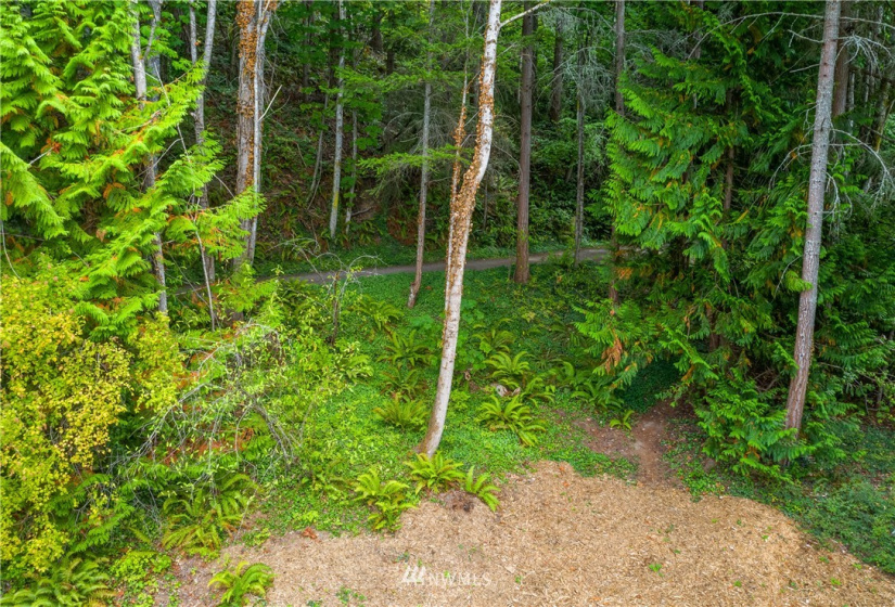 836 Chuckanut, Bellingham, Washington 98229, ,Land,For Sale,Chuckanut,NWM1839113