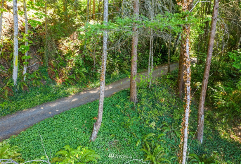 836 Chuckanut, Bellingham, Washington 98229, ,Land,For Sale,Chuckanut,NWM1839113