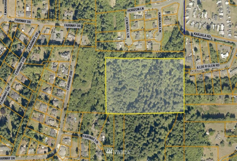 1 xx Fairway, Aberdeen, Washington 98520, ,Land,For Sale,Linkshire,Fairway,NWM1839802