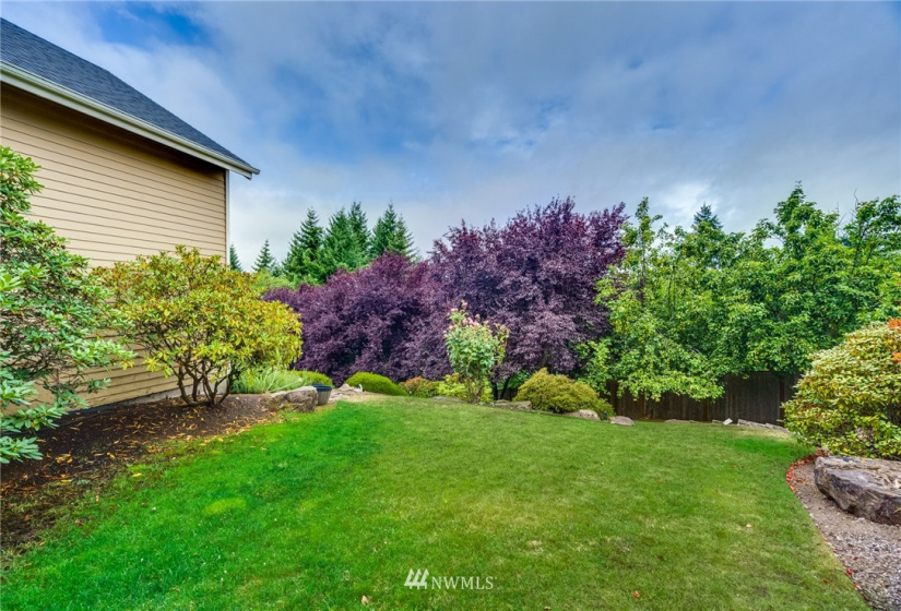 15302 43rd, Bellevue, Washington 98006, 6 Bedrooms Bedrooms, ,2 BathroomsBathrooms,Residential,For Sale,43rd,NWM1840055