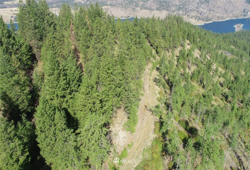 44800 Royal, Davenport, Washington 99122, ,Land,For Sale,Royal,NWM1832879