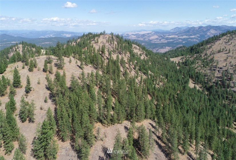 44800 Royal, Davenport, Washington 99122, ,Land,For Sale,Royal,NWM1832879