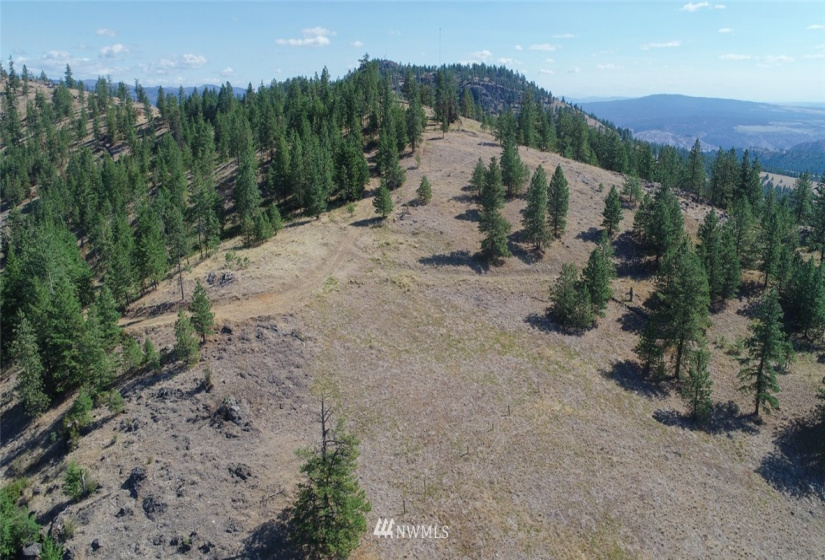 44800 Royal, Davenport, Washington 99122, ,Land,For Sale,Royal,NWM1832879