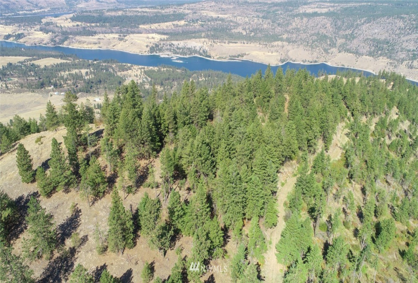 44800 Royal, Davenport, Washington 99122, ,Land,For Sale,Royal,NWM1832879
