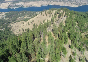 44800 Royal, Davenport, Washington 99122, ,Land,For Sale,Royal,NWM1832879