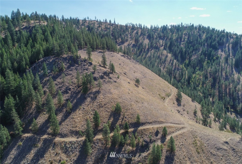 44800 Royal, Davenport, Washington 99122, ,Land,For Sale,Royal,NWM1832879
