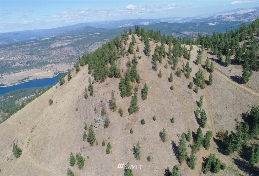 44800 Royal, Davenport, Washington 99122, ,Land,For Sale,Royal,NWM1832879