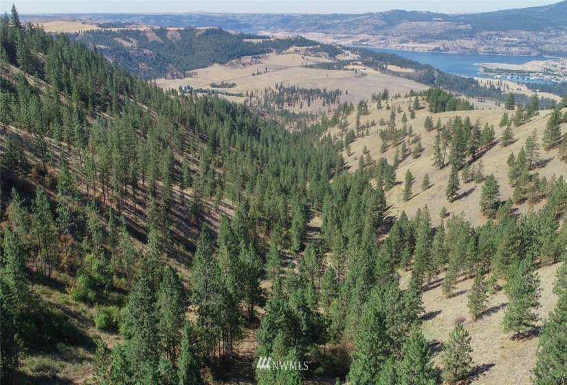 44800 Royal, Davenport, Washington 99122, ,Land,For Sale,Royal,NWM1832879