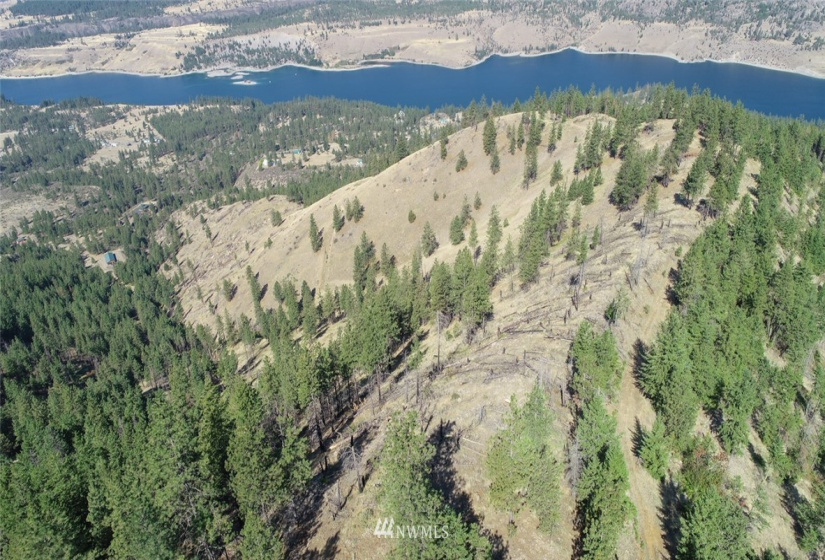 44800 Royal, Davenport, Washington 99122, ,Land,For Sale,Royal,NWM1832879